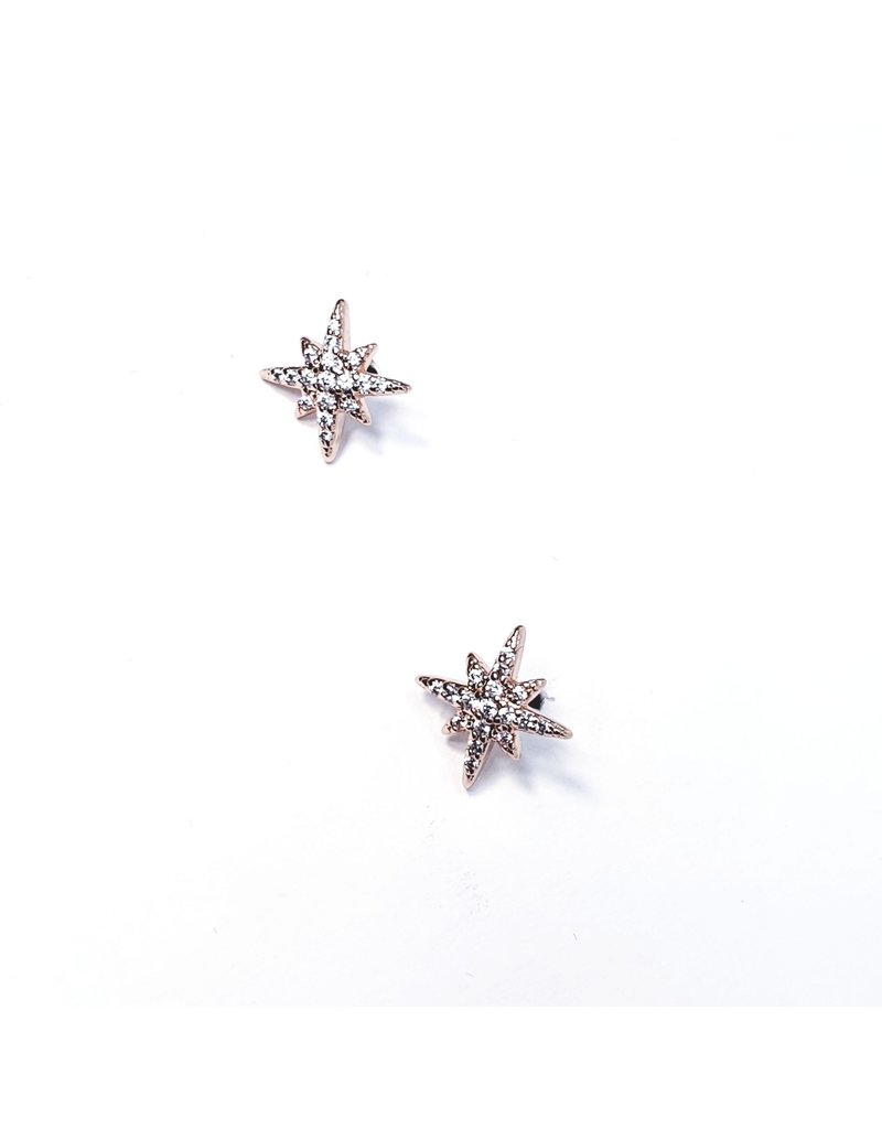 ERH0419 - Rose Gold Star  Earring