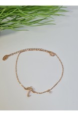 ANH0038 - Rose Gold Anklet