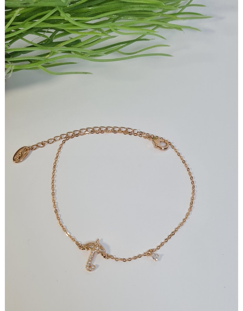 ANH0038 - Rose Gold Anklet