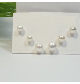 EMA0109 - Pearls  Multi-Pack Earring