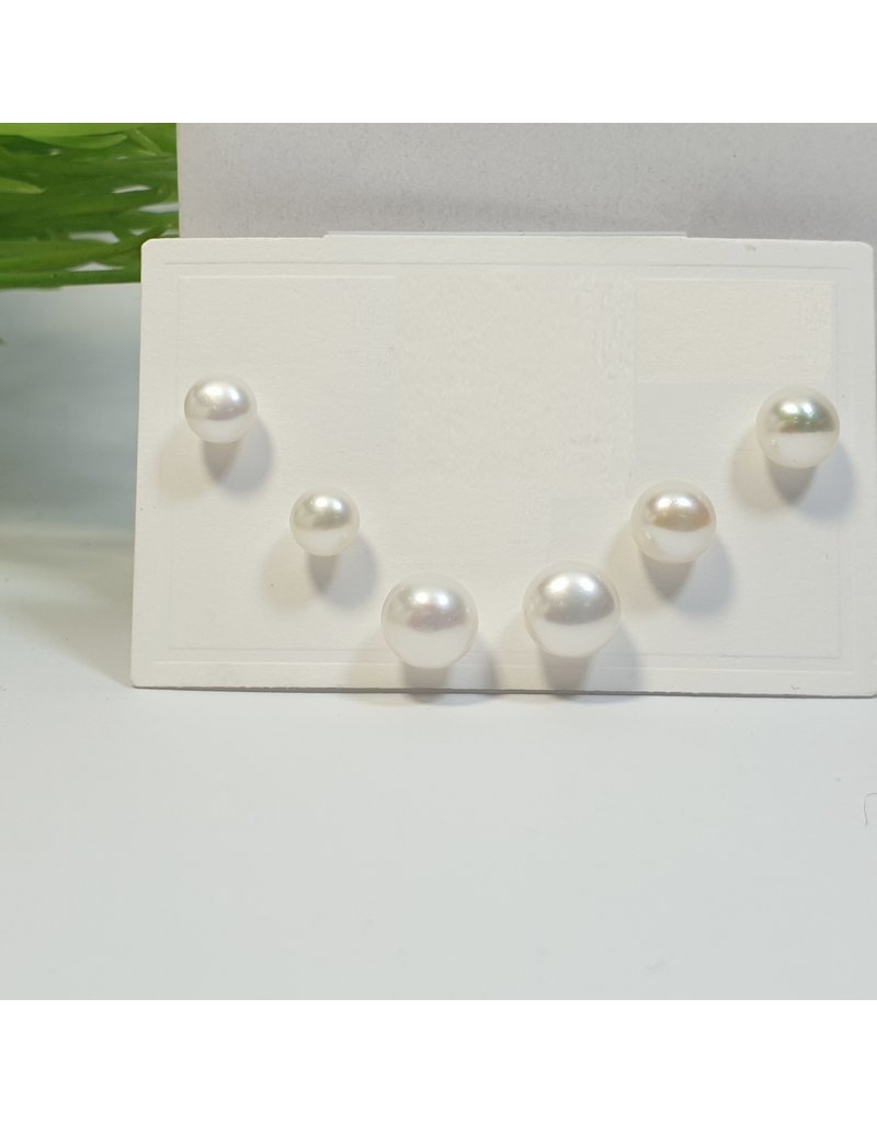 EMA0109 - Pearls  Multi-Pack Earring