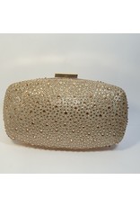 Cta0103 - Champagne,  Clutch Bag