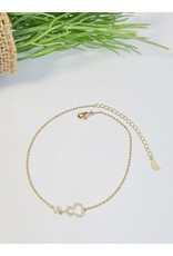 ANH0064 - Gold Anklet