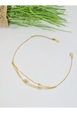 ANH0002 - Gold Anklet