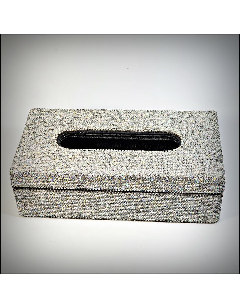 60250157 - Silver Tissue Box