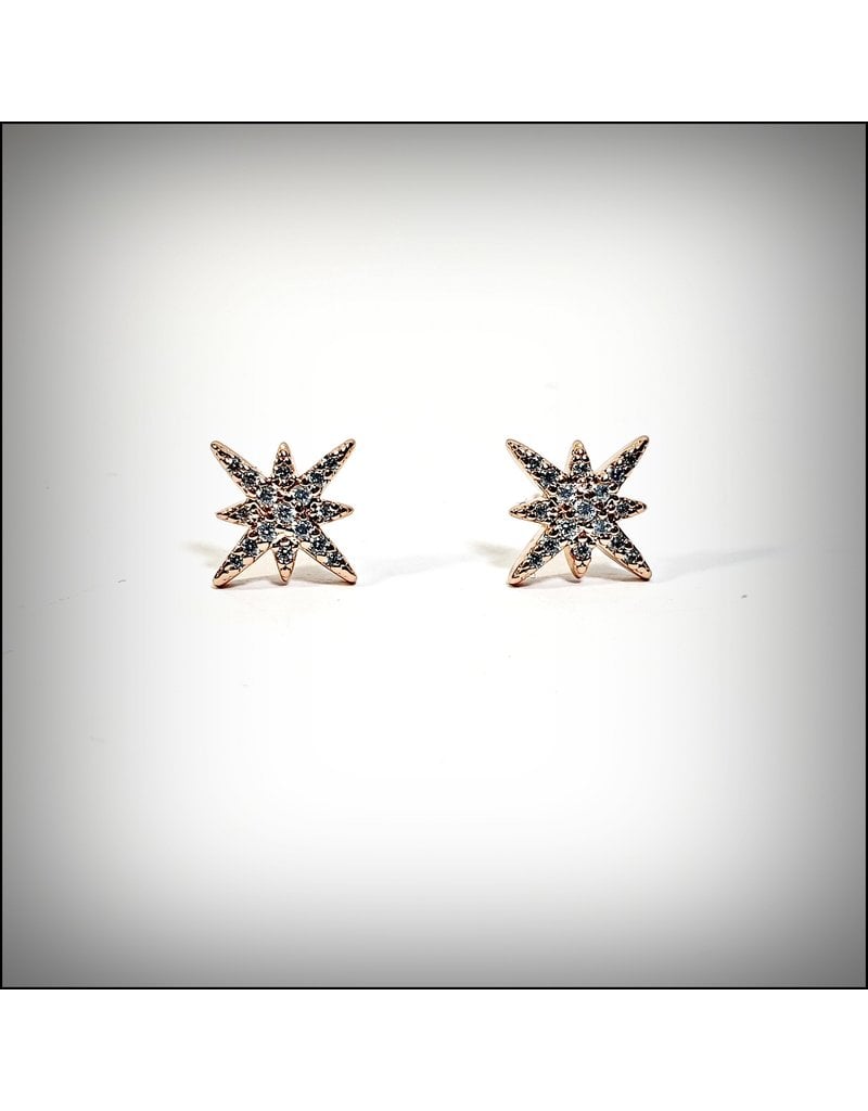 ERH0027 - Rose Gold Star,  Earring