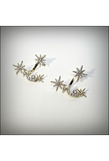 ERH0234 - Gold Star  Earring