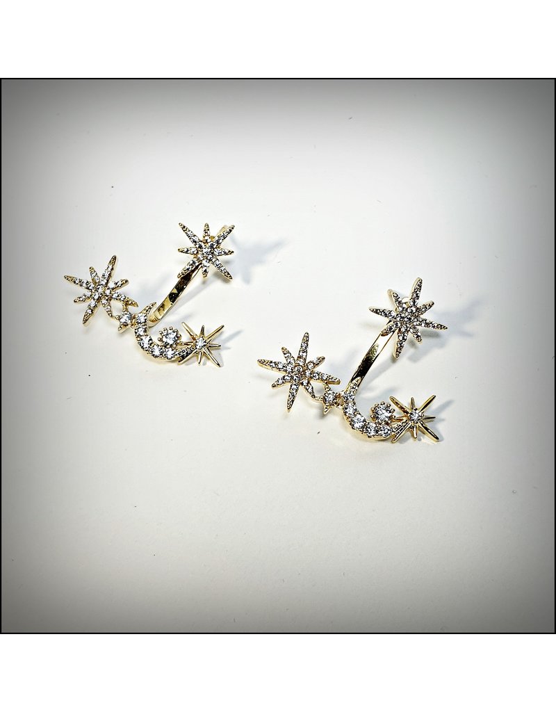 ERH0234 - Gold Star  Earring