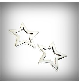 ERH0250 - Silver Star  Earring