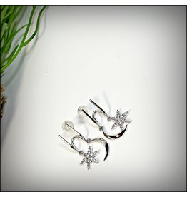 ERH0383 - Silver Starfish  Earring