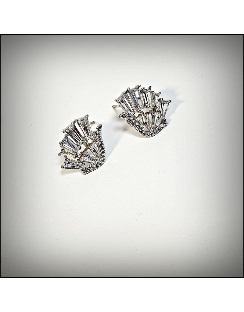 ERH0398 - Silver  Earring