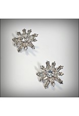 ERH0410 - Silver Star Earring