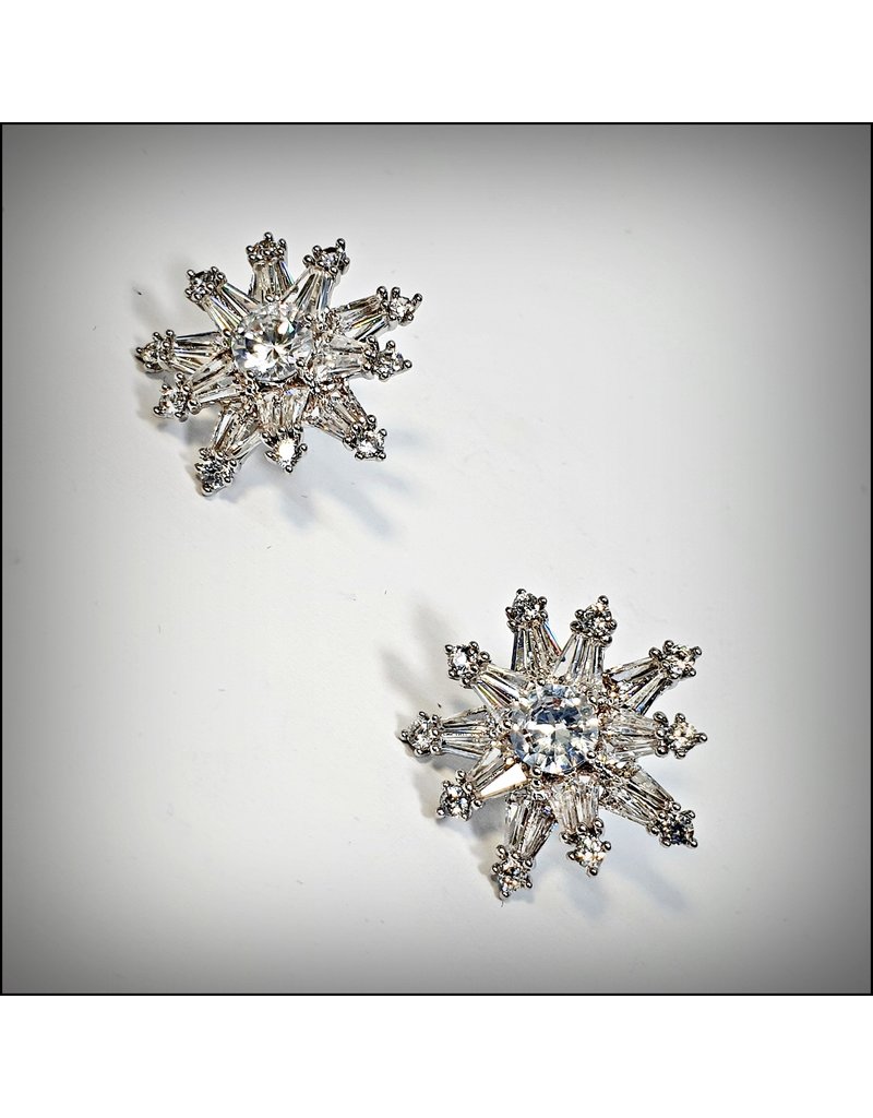 ERH0410 - Silver Star Earring