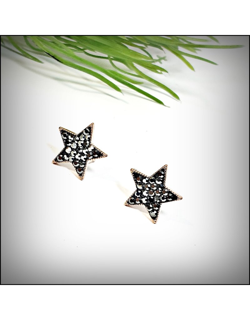 ERH0418 - Rose Gold Black  Earring