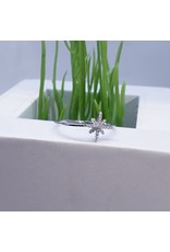 RGF0093-Silver Ring