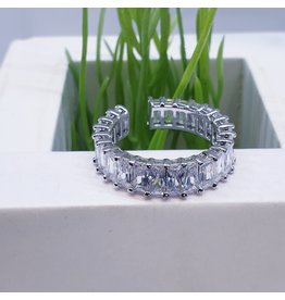 RGF0100-Silver Ring