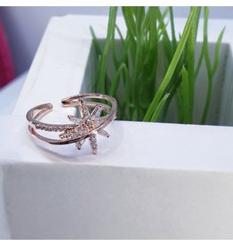RGF0104-Rose Gold Ring