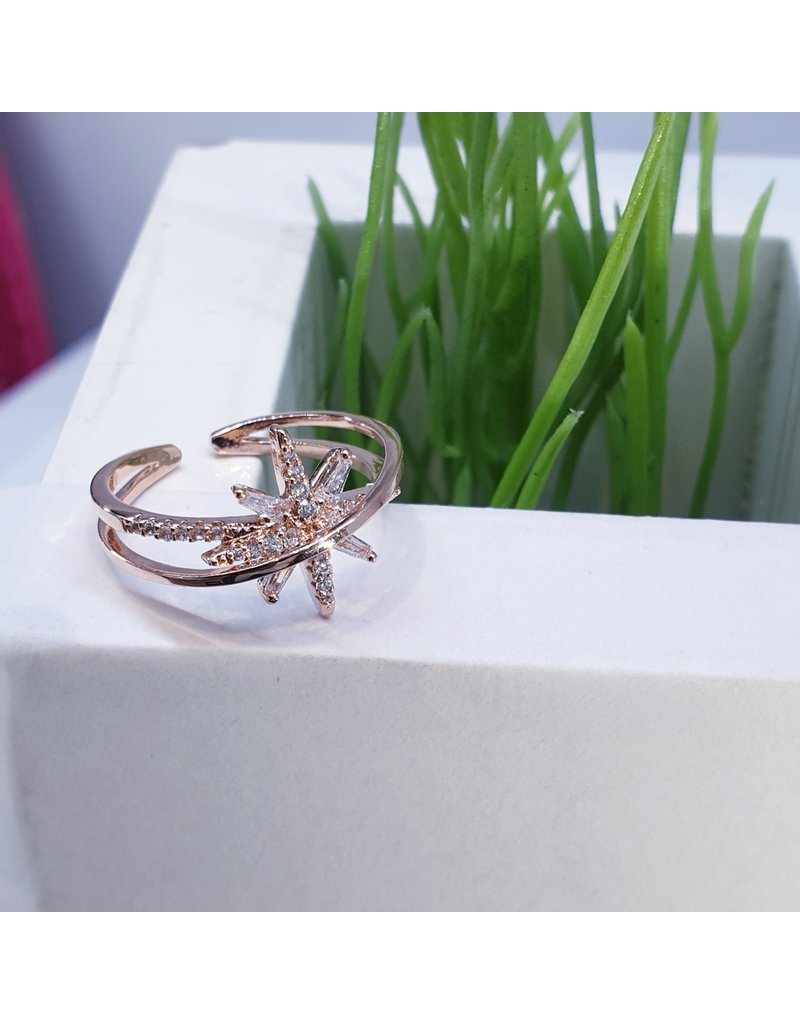 RGF0104-Rose Gold Ring