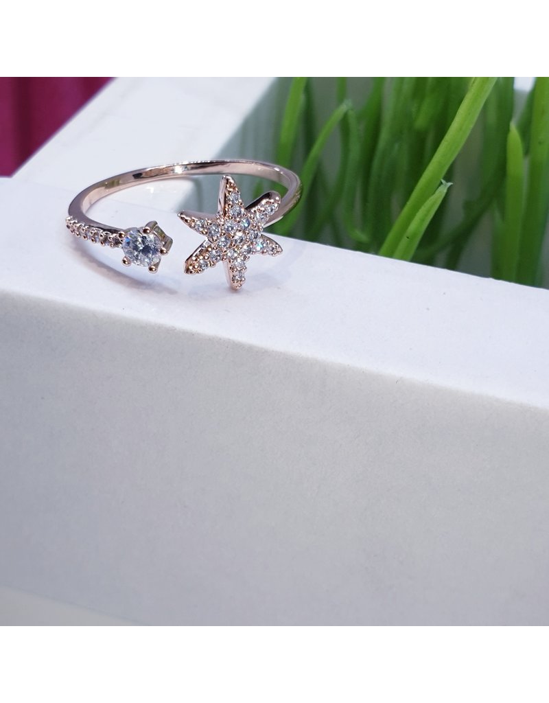 RGF0169-Rose Gold Ring