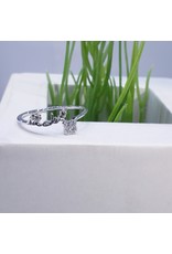 RGF0193-Silver Ring