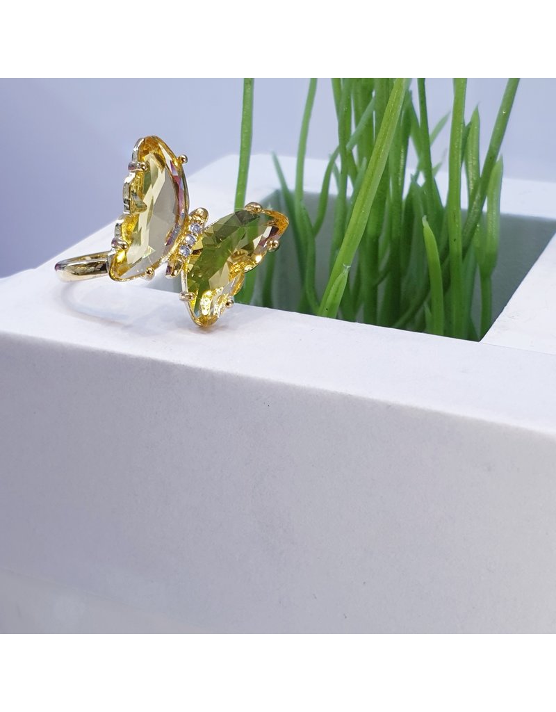 RGF0404-Gold Ring