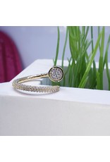 RGF0219-Gold Ring