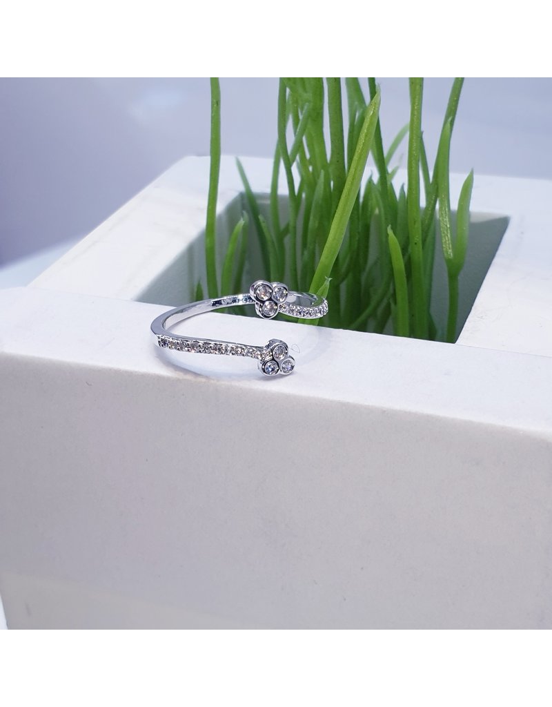 RGF0299-Silver Ring