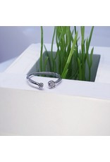 RGF0304-Silver Ring