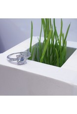 RGF0374-Silver  Ring