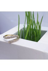 RGF0381-Gold  Ring