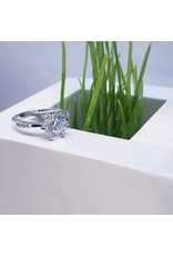 RGF0383-Silver  Ring