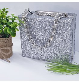 CTB0007 - Silver, Square Clutch