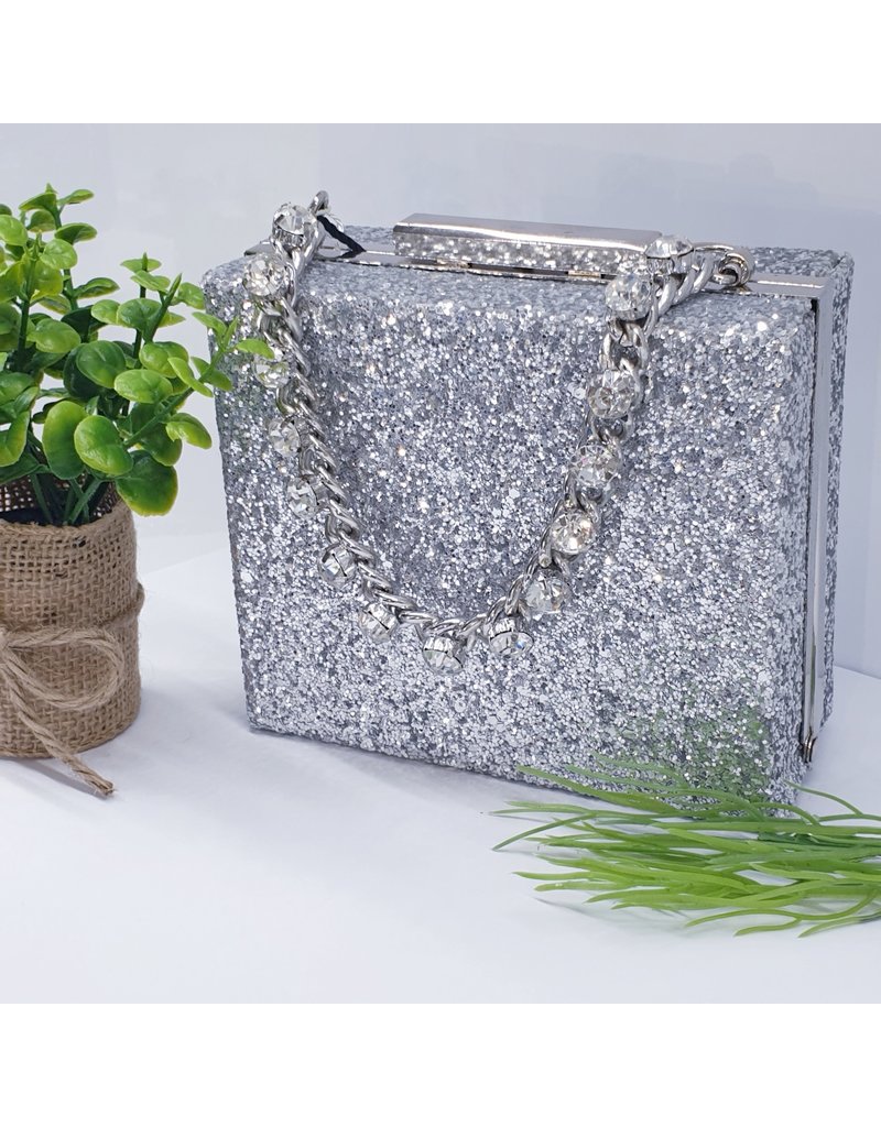 CTB0007 - Silver, Square Clutch