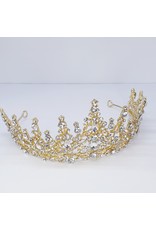 HPG0010 Gold crown
