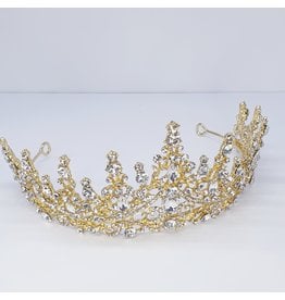 HPG0010 Gold crown
