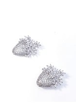 ERH0335 - Silver Earring