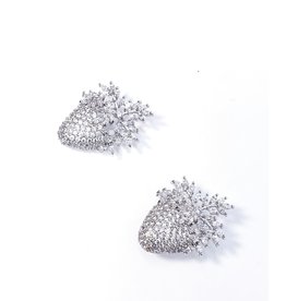 ERH0335 - Silver Earring