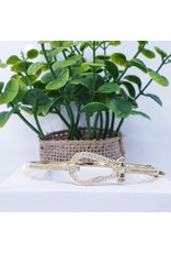 BGI0305 - Gold   Bangle