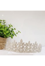 HPH0029 - Silver Tiara
