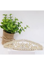 HPH0035 - Gold Tiara