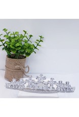 HPH0040 - Silver Tiara