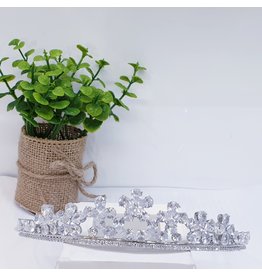 HPH0040 - Silver Tiara