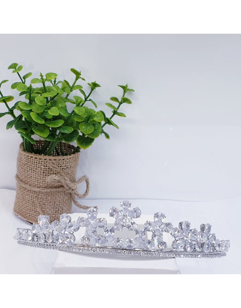 HPH0040 - Silver Tiara