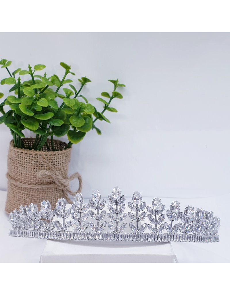 HPH0042 - Silver Tiara