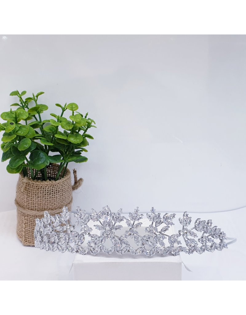 HPH0044 - Silver Tiara