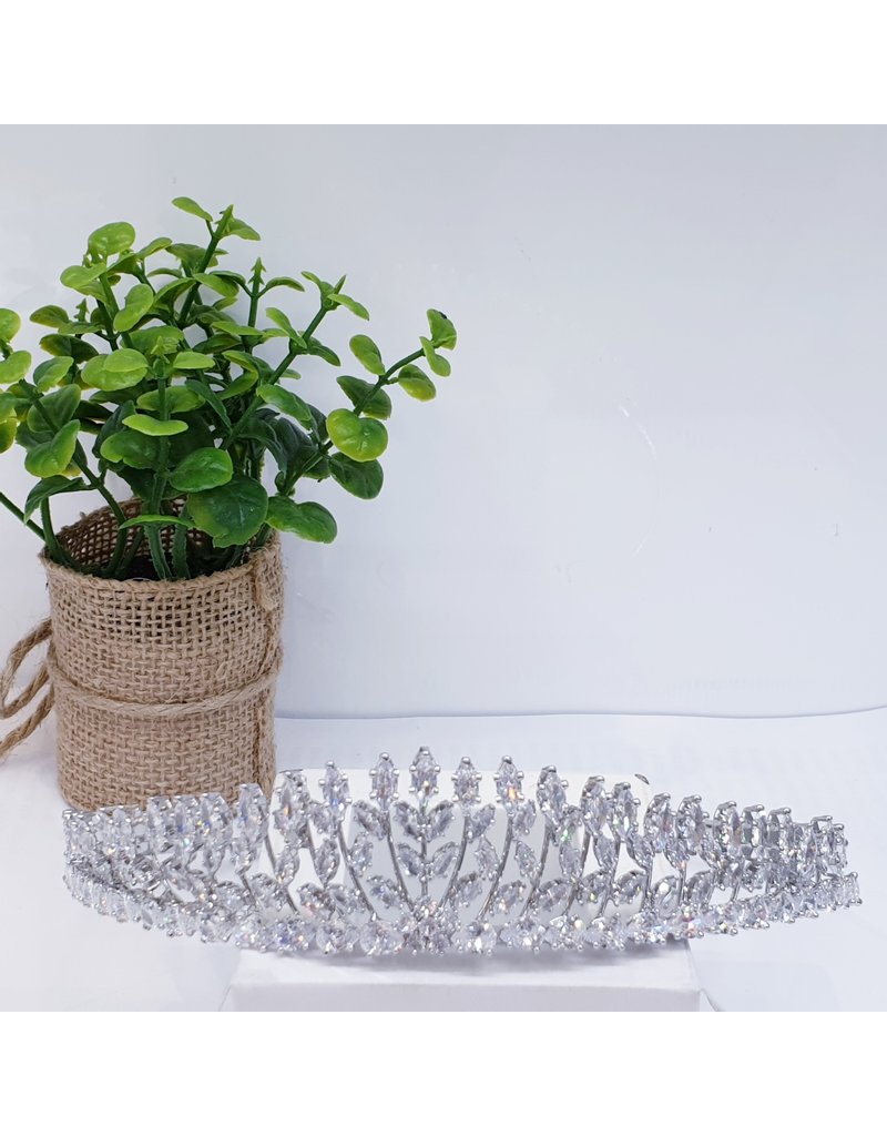 HPH0046 - Silver Tiara
