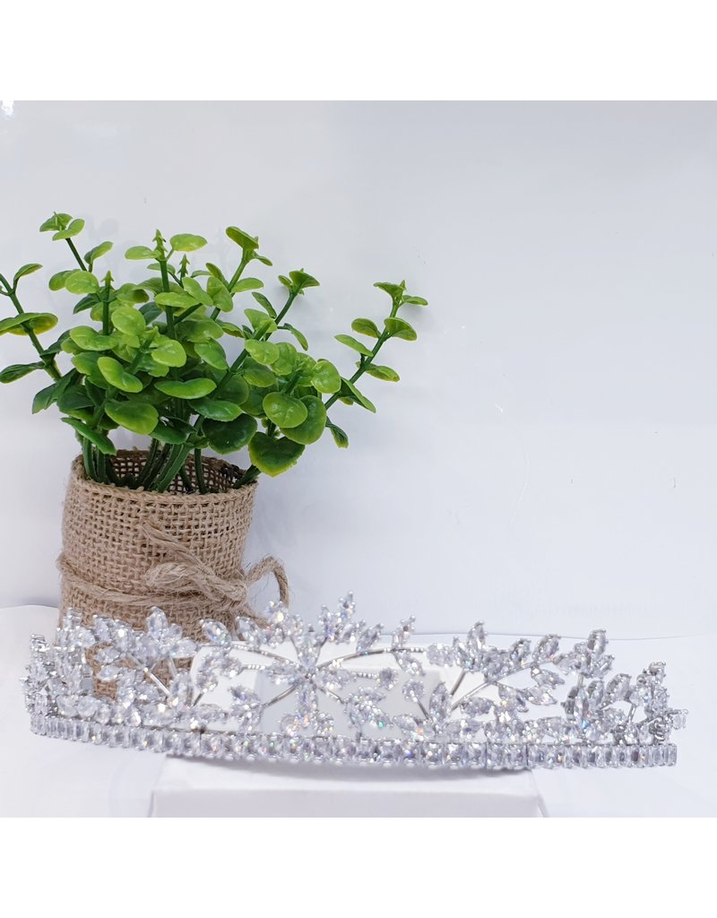 HPH0048 - Silver Tiara