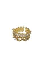 RNI0016- Gold Ring