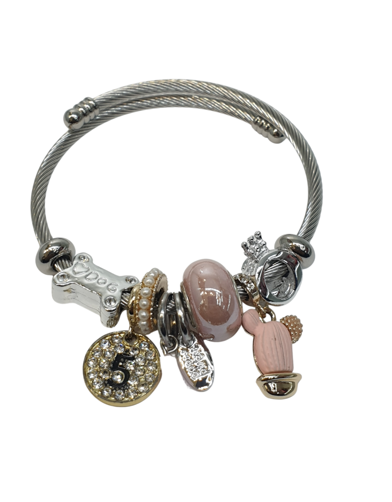 BAF0089 - Pink, Cactus, Bone, 5 Charm Bracelet