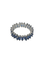 RNI0014- Silver,Blue Ring